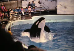 Marine World 2003 038