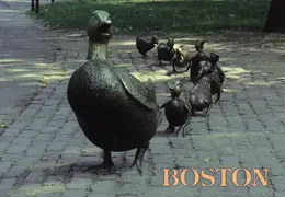 Boston postcard 02