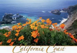 California Coast Postcard