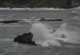 Gualala Dec 2008