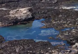 Gualala May 2015
