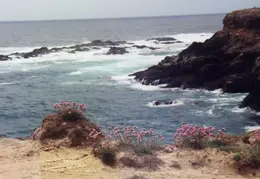 Mendocino Coast