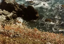 Mendocino Coast 01