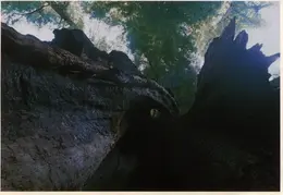 Mendocino postcard 03