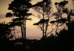 Monterey 2004