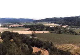 Napa Valley 1985 04