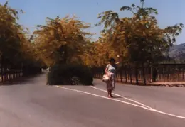 Napa Valley 1985 07