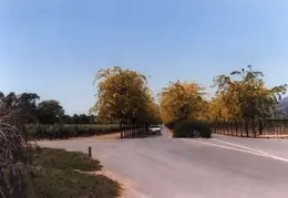 Napa Valley 1985 08