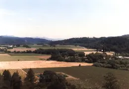Napa Valley 1985 13