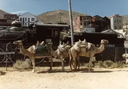 Reno Jeep Trip 48