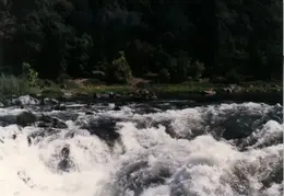 Rogue River Rafting 1982 027