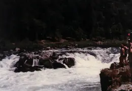 Rogue River Rafting 1984 010