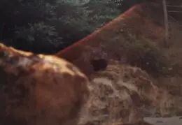 Rogue River Rafting 1984 039