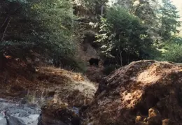 Rogue River Rafting 1984 040
