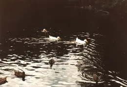 Salem MA 1992 17