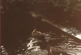 Salem MA 1992 18
