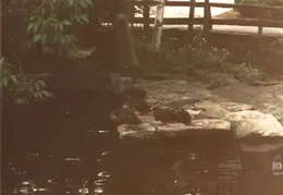 Salem MA 1992 19