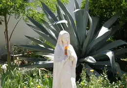 San Juan Bautista Mission June 2007 030
