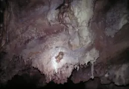Shasta Cave 01