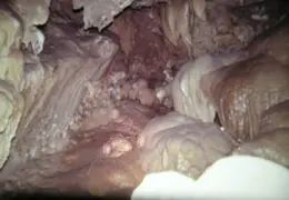 Shasta Cave 05
