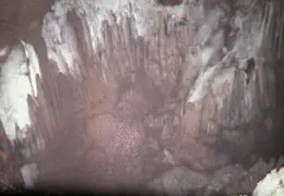 Shasta Cave 07