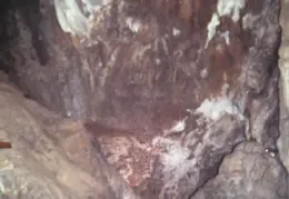 Shasta Cave 08