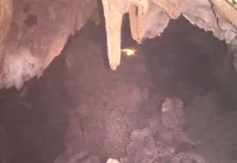 Shasta Cave 12