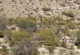 South Mountain 20230121 16