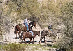 South Mountain 20230121 17