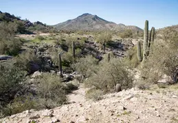 South Mountain 20230121 19