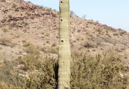 South Mountain 20230121 21