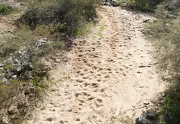 South Mountain 20230121 23