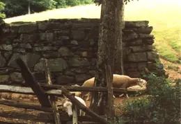 Sturbridge Village 1992 03