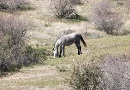 Trip To Eagles Nest 20220318 16
