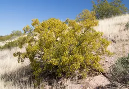 Trip To Eagles Nest 20220318 24