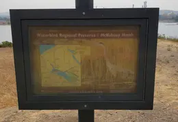 Trips To Acme Landfill Martinez 20210902 14