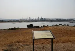 Trips To Acme Landfill Martinez 20210902 17