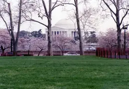 Washington DC March 2000 047