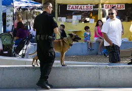 2013 08 Police Officers Association In The Park 021