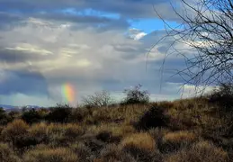 Rainbows