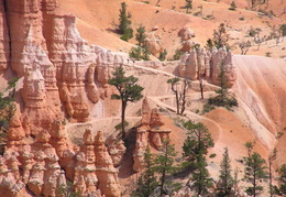 bryce canyon 2003 039