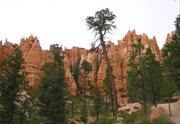 bryce canyon panoramas 2003 07