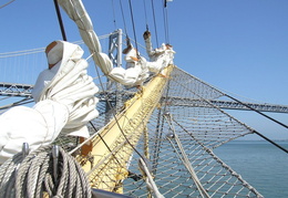 sail san francisco 2005 017