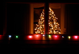 neighbors xmas lights dec 2009 30