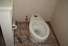 toilet retrofitting march 2010 0003