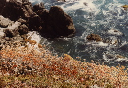 california coastline 05