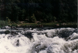 rogue river rafting 1982 027