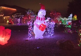 Neighborhood_Christmas_Lights_2021