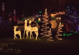 neighborhood christmas lights 2021 031
