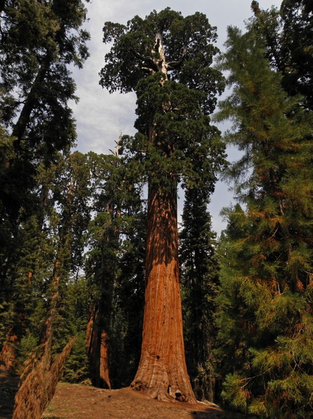sequoia_natl_park_sept_2009_013.jpg